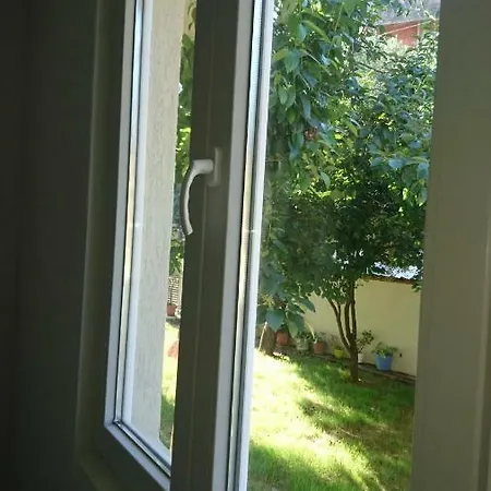 Stella *